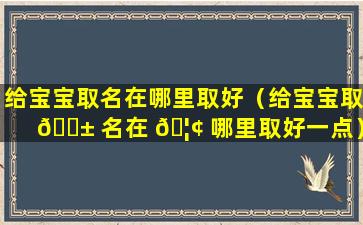 给宝宝取名在哪里取好（给宝宝取 🐱 名在 🦢 哪里取好一点）